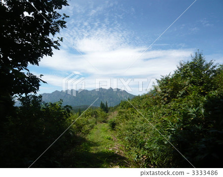 山路 林地路徑 全貌 3333486