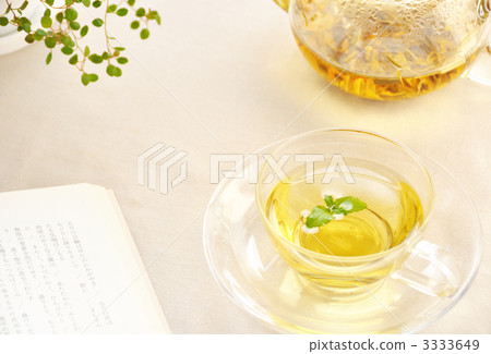 洋甘菊茶讀 洋甘菊茶讀 3333649