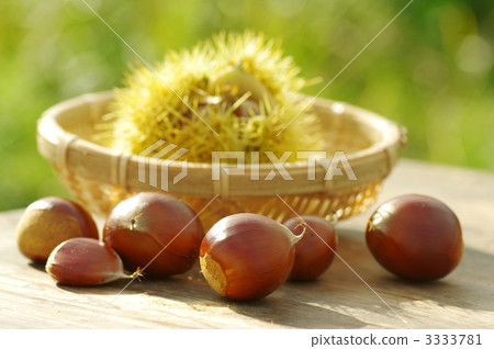 Chest harvest Chest harvest 3333781