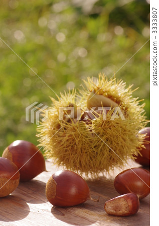 胸部收穫 胸部收穫 3333807