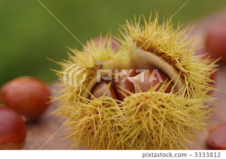 胸部收穫 3333812