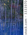 Standing trees on the surface of the water, Biei Aoike 3333970