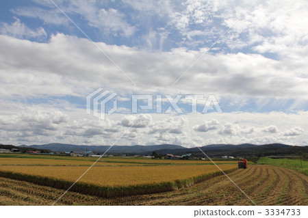 Harvest 3334733