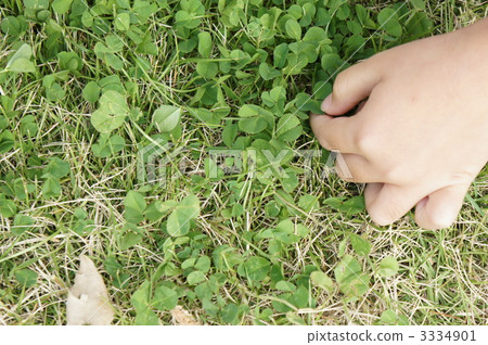 Looking for the four leaf clover bar 3334901