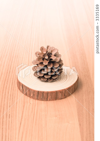 pinecone, pine cone, wood 3335169