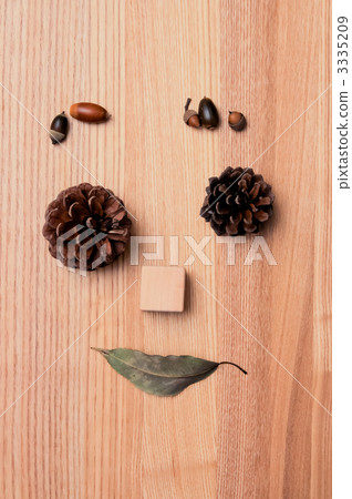 pinecone, acorn, pine cone 3335209