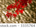 Autumn leaves 3335764