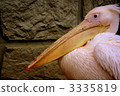 Pelican 3335819