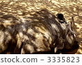 Rhino 3335823