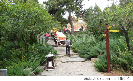 Pandan sect Rikuni Shrine Mikoshi 3336005