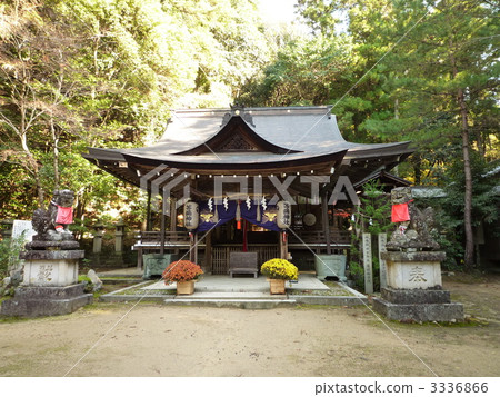 Yaya Shrine 3336866