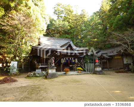 丫丫神社 3336868