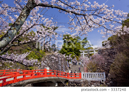 武田神社 武田神社 3337248