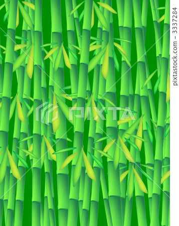  竹林 3337284