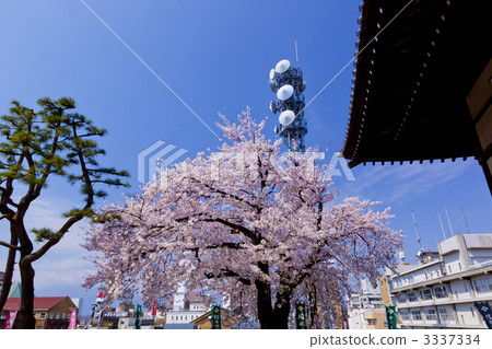 舞鶴城公園 3337334