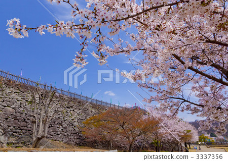 Maizuru Castle Park Maizuru Castle Park 3337356
