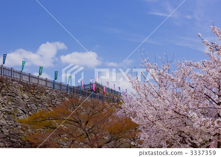 舞鶴城公園 3337359