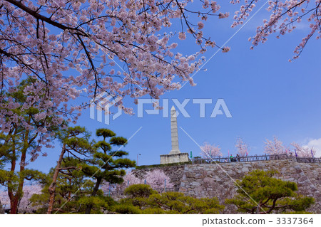 舞鶴城公園 3337364