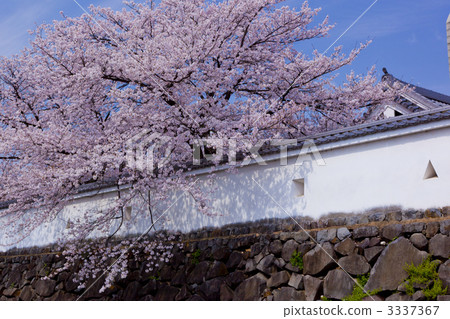 舞鶴城公園 3337367