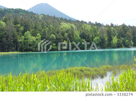 Lake shore of Onne tow 3338274