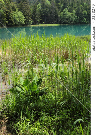 Lake shore of Onne tow 3338279