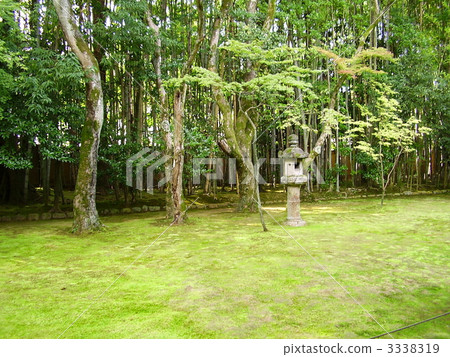 Garden of Daitoku-ji Takasoin 3338319