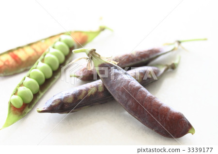 Tutankhamun no peas 3339177