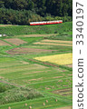 小湊鉄道 火車 水稻收穫後 3340197