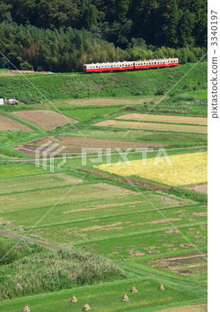 小湊鉄道 火車 水稻收穫後 3340197