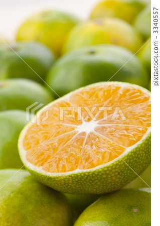 Early-maturing oranges Early-maturing oranges 3340557