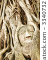 Wat Phra Mahathat 3340732