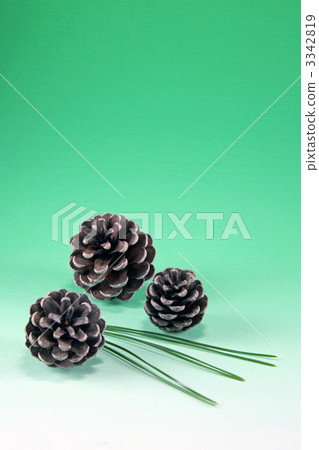 Pine cones 2 Pine cones 2 3342819