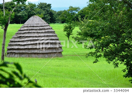 Uenohara Jomon Forest 3344094
