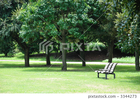 公園的長椅上 3344273