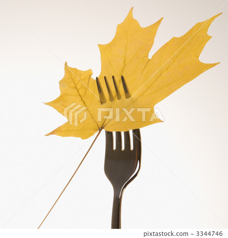 Maple leaf on fork. Maple leaf on fork. 3344746