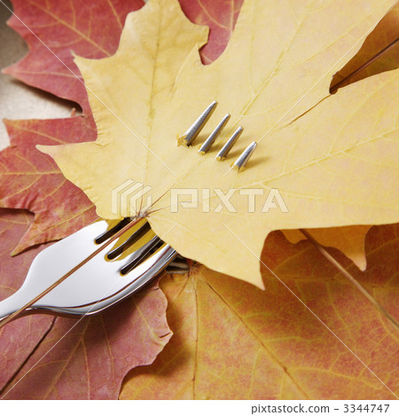 Maple leaf on fork. 3344747