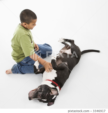 Boy petting pet dog Boy petting pet dog 3346917