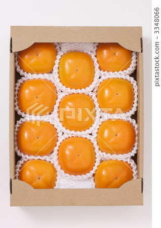 Nuclear-free persimmon Nuclear-free persimmon 3348066