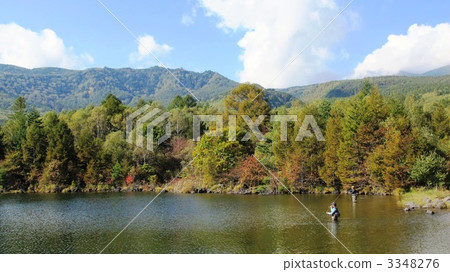 誘餌釣魚 3348276