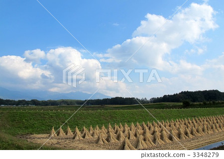 米飯乾燥 3348279