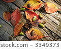 Autumn pattern 3349373