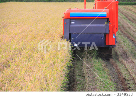 水稻收割 3349533