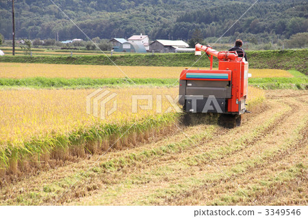水稻與聯合收割機收割 3349546