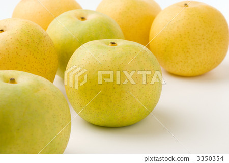 二十世紀的梨 二十世紀的梨 3350354