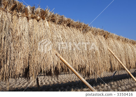 雨晴朗的太陽 3350416