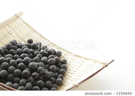tanba black bean, bean, beans 3350840