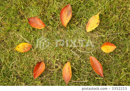 dead leaves, fallen leafe, falling leafe 3352213