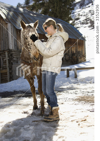 Woman petting horse. 3352936