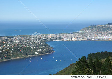 Downtown Dunedin from Signhill 3352938