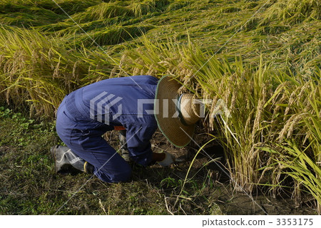 Men who harvest Men who harvest 3353175